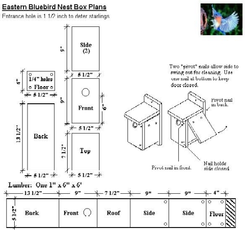 Peterson Blue Bird House Plans House Plans peterson-blue-bird-house-plans-house-plans