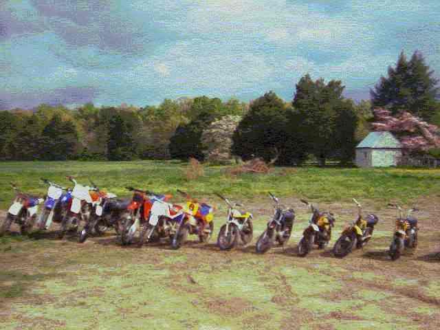 Lots of bikes!