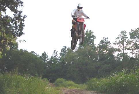 Simon Wilson